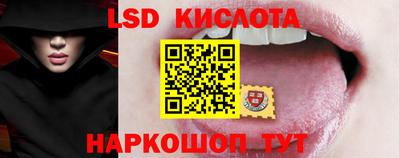 шишки Абакан