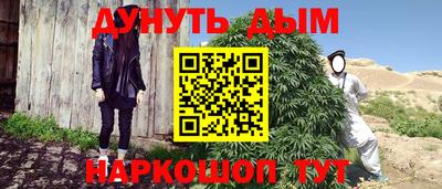 шишки Абакан