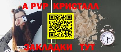 шишки Абакан