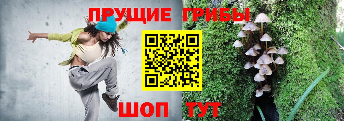 Альметьевск  Псилоцибиновые грибы GOLDEN TEACHER  Вход с VPN 